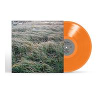 Gunn, Steve - Music for Writers