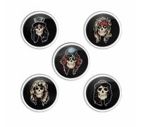Guns N Roses - Ensemble de badges APPETITE FOR DESTRUCTION (Taille unique) (Multicolore)