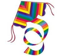 Cerf-volant monofil Rainbow - GUNTHER - Pour enfant à partir de 6 ans - Queue de stabilisation incluse
