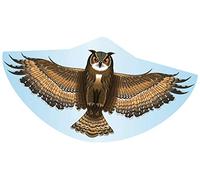 Günther Flugspiele 1 ligne Cerf-volant Hibou Envergure (détails) 1220 mm Force du vent supportée 3 - 6 bft