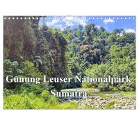 Gunung Leuser Parc national Sumatra (calendrier mural 2026 DIN A4 paysage) calendrier mensuel CALVENDO
