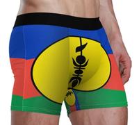 GuoChe Boxer extensible pour homme, pochette 3D en polyester et élasthanne doux pour l'automne et l'hiver, Drapeau de la Nouvelle-Calédonie (variante), Large