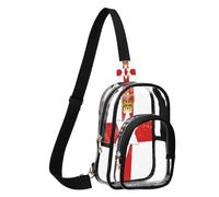 GuoChe Sac banane transparent en tissu durable, taille compacte, sangle réglable, plusieurs compartiments, poche de rangement avant, Drapeau de l'Irlande du Nord, One Size, Coloré
