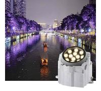 GUODDM Spot À Faisceau LED Exterieur - Projecteur De Sol Lumières, Éclairage en Pierre De Paysage De Rocaille De Simulation De 111V ~ 240V(Yellow,12W)