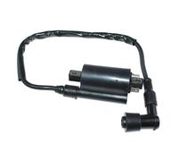GUOFHUIO Bobine d'allumage for Suzuki TC125 TC185 TC250 TC305 TC350 TS50 TS75 TS90 TS100 TS125 TS185 TS200R TS250 TS400 33410-22220