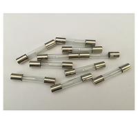 GUOQGXAY Fusibles 10 pièces 5KV 0.85A 850mA Four à Micro-Ondes fusibles Haute Tension