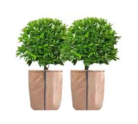 GUOXIAD Pot Winter Protector, Plant Root Insulation Covers, Fruit Tree Frost Protection Cover for Cold Weather, Adjustable Strap Wrap(Khaki,45x70cm)