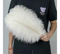 GUOZHAN Lot de 10 Grandes Plumes d'autruche de 15 à 60 cm, pour décoration de Table de Mariage, de Carnaval, de scène, en Vrac