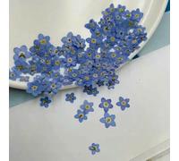 GUOZHAN Lot de 100 Mini Myosotis Bleus naturels séchés et pressés, Fleurs d'herbier pour Bijoux, Marque-Pages, Nail Art