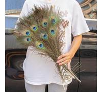GUOZIF 20 pièces Vraies Plumes de Paon 25-50 cm pour Bricolage Artisanat Bijoux Vase décor de Table Plume scène effectuer vêtements de Mariage Accessoires de Robe