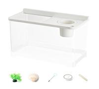 Gupcaqosjw Aquarium Petit 20 cm avec 3 Lumières Colorées | Bac À Poisson Paysager - Écosystème pour Bureau Table Salon Chambre Entrée Aménagement