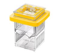 Guppy Breeder Box, Floating Clear Frame Hatching Box, 3.74x3.74x3.74 inches Easy to Install & Use, Mother Aquatic Life Incubator for Shrimp, Fish, and Other Aquatic Creatures