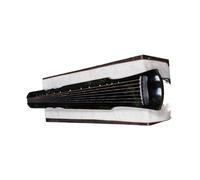 Guqin Performance Professionnelle Laque Brute Bois De Cèdre Débutant Fait À La Main Sept Cordes Guqin Pour Débutants(Type 3)