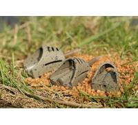 Guru Feeders hybrides sur ligne, Tailles Mini, Small, Medium et Large, 24g Small