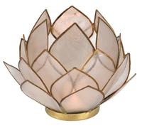 Guru-Shop Coquille de Lampe à thé en Lotus 20 cm en 11 Couleurs, Blanc, Tranchesdecoquilles, Couleur : Blanc, Porte-bougie à Réchaud