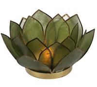 GURU SHOP Lotus Coquillage Bougie chauffe-plat 14 x 6 cm - Vert olive