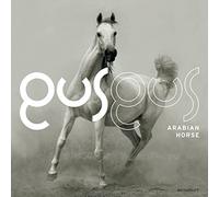 GUS GUS - ARABIAN HORSE