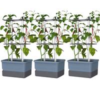 Gusta Garden CHARLY CHILI 3er-Set blau / W07078 Bac à plantes