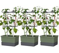 Gusta Garden CHARLY CHILI 3er-Set dunkelgrün / W07077 Bac à plantes