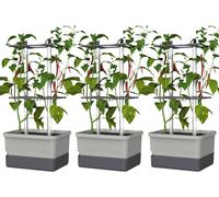 Gusta Garden CHARLY CHILI 3er-Set hellgrau / W07076 Bac à plantes