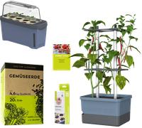 GUSTA GARDEN CHARLY CHILI Starter Set - Bleu