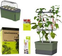 GUSTA GARDEN CHARLY CHILI Starter Set - Vert foncé