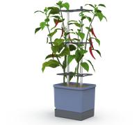 Gusta Garden CHARLY CHILI XL - Bleu