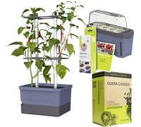 Gusta Garden Chili-Starter-Set 5-teilig blau CHARLY CHILI / HARRY HERBS / Zubehör / W07084 Bac à plantes