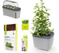 GUSTA GARDEN Coffret Pouvoir des Herbes - Gris clair