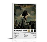 Gustavo Cerati Fuerza NaturalWall Art Moderne Minimaliste Peinture Décorative Affiche Imperméable Facile à entretenir Salon Chambre Fond Mur pour Améliorer le Style 40 x 60 cm Style Cadre