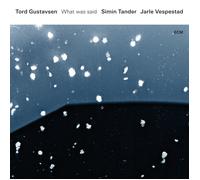 Gustavsen Tord - What Was Said [Import]