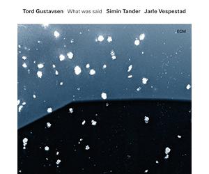 Gustavsen Tord - What Was Said