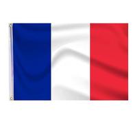 GUSTO Drapeau de la France 90 x 150 cm avec 2 œillets en métal résistant aux intempéries 1 piece (France)