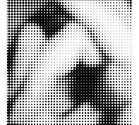 Gut, Gudrun - In Pieces