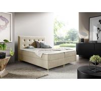 GUTTO lit LOUI 160 x 200 cm 2x sommier TOPPER 5 cm Beige velours haut pieds dorés