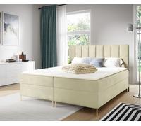 GUTTO NADIA coussin lit 160 x 200cm 2x Boîte de rangement TOPPER 5cm velours beige haut pieds dorés