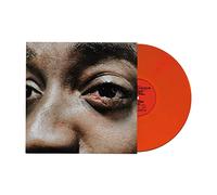 Guvna B - The Village is on Fire [Import]