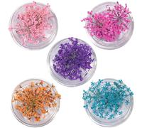 Guyode 5 Pièces Fleurs Séchées 3d pour Nail Art Decoration Ongles Nail Art 5 Couleurs Deco Ongle D'autocollants L'art des Ongles Kit de Fleurs Séchées Kit D'accessoires Cadeaux Créatifs Bricolage