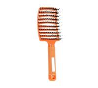 GUYTRM Brosse démêlante magique à poils en Nylon, brosse démêlante, peigne de Massage du cuir chevelu, brosse à cheveux Pop, outil de coiffure lingli(ALLOG B)