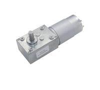 GUYU Gear Motor 5840-555 12V 24V dc with Reduction High Torque Worm YUGU(24V,27rpm)