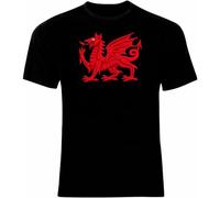 GUYUNTI HAODI Coat of Arms of The Wales Welsh Arms Flag Tshirt All Mens Women T Shirt 100% Cotton T-Shirt Black L
