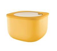 Guzzini Contenitore Ermetico 2800cc 'store&more Bio' Per Frigo/Freezer/Forno A Microonde Ambra Multicolore