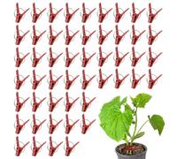 Gvblkq 50 Pcs Spring Clips - Mini Clamps, Clamps for Grafting Vegetables, Spring Clamp with High Elasticity Jaw, Garden Clips, Plant Clip for Grafted Vegetables Plant Grafting Clip Tomato