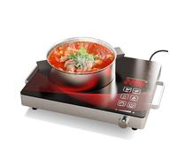 Gveyajo Plaque de Cuisson Électrique 1 Feu 2200W, Portable, Vitrocéramique, Minuterie 180 min, 4 Modes, Affichage Watt/Température, Pour Camping & Maison