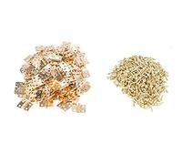 Gvvsjgdbis 100PièCes SéRies Mini MatéRiel de CharnièRes en Laiton Rotation de 180 DegréS pour Armoire de Meubles Miniature de Maison de PoupéE (DIY)