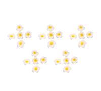 Gvvsjgdbis 500 Pièces Séries Mousse Blanche Frangipanier Hawaïen Artificiel Plumeria Fleur Pétales Casquette Chapeau de Cheveux Couronne Bricolage Décoration de Mariage 5 cm
