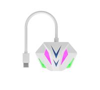 Gvvsjgdbis Adaptateur Ethernet Type C vers RJ45 Carte Réseau 10/100/1000Mbps Effet d'éclairage RVB pour PC Ordinateur Portable B