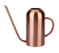 Gvvsjgdbis Arrosoir en acier inoxydable de 1,5 L à long bec pour plantes de jardin, fleurs, plantes, outil d'irrigation