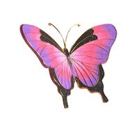 Gvvsjgdbis Kit de peinture en émail fin, papillon 3D fait à la main, cadeau de décoration, sac D en matériau fait à la main