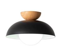 GWJKG Fern Nordic Fer Art Rond plafonnier, E14 Mount Semi-Flush Light, Home Decoration Lighting, pour l'entrée du Couloir l'allée de Chambre à Coucher (Sombre)
